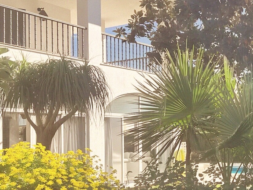 The garden with mimosa, palms and lawn